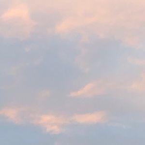 Meet your Posher, Anoja